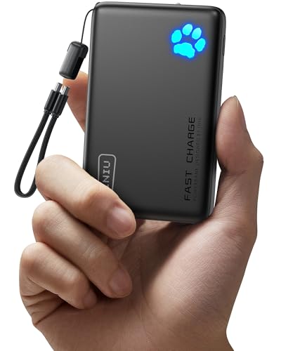 Back Clip Wireless Power Bank Shenzhen Apple Fyt-B28