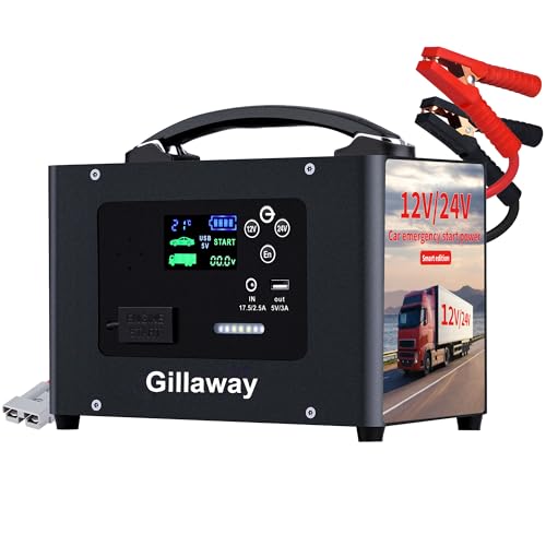 Car Jump Starter Power Bank 12V 24V Auto Starting